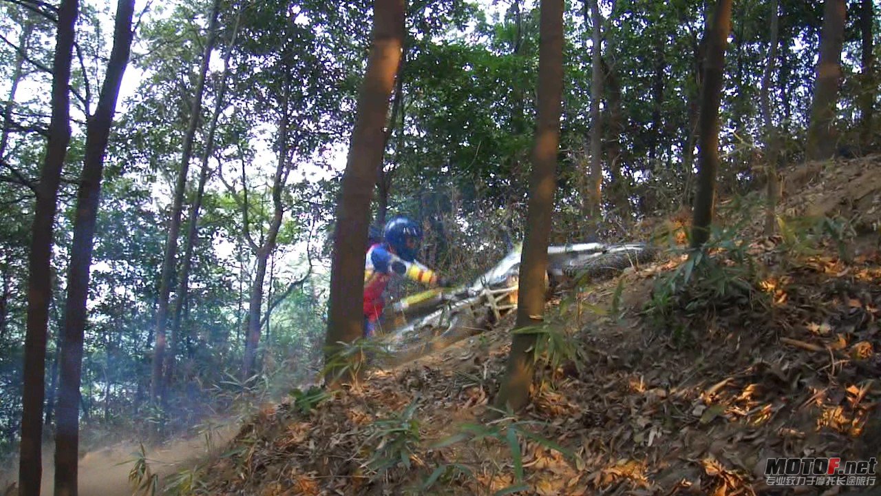DSC0834854.jpg