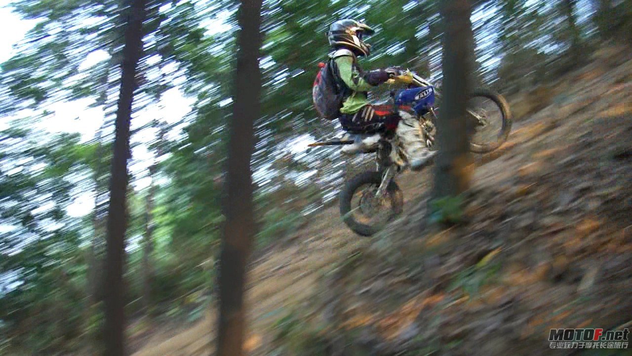 DSC0834857.jpg