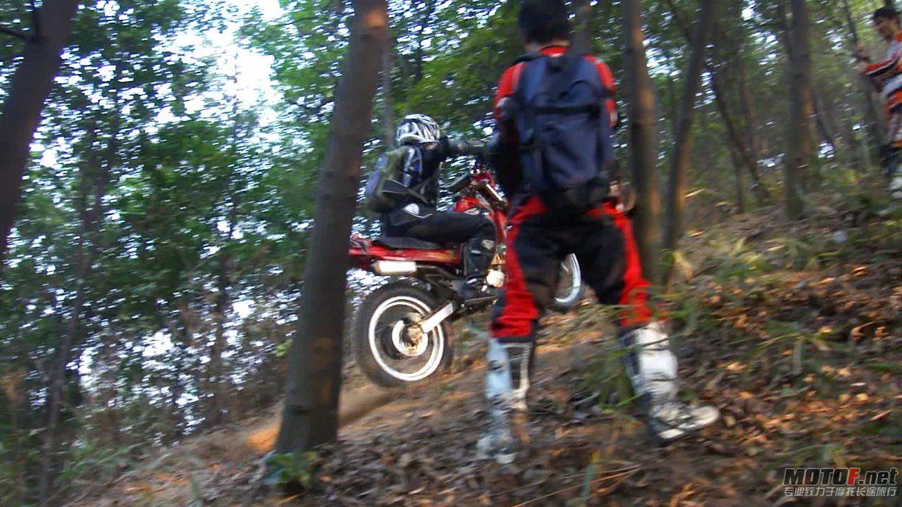 DSC0834860.jpg