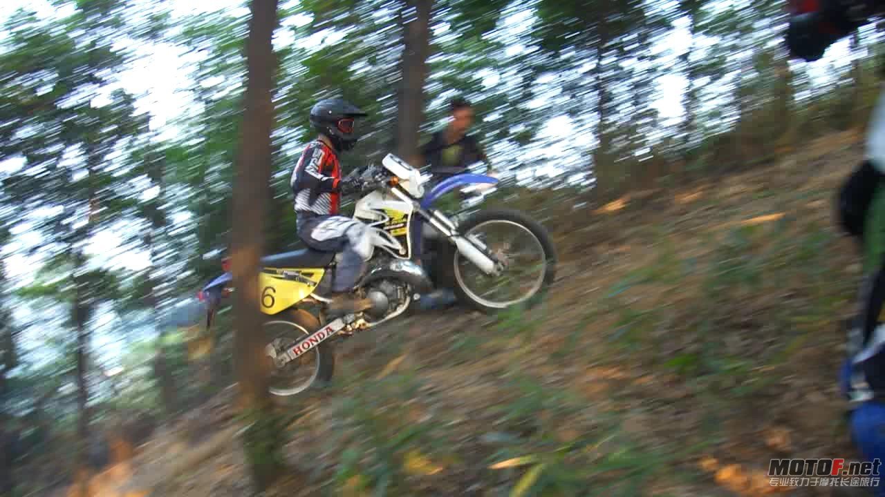 DSC0834865.jpg