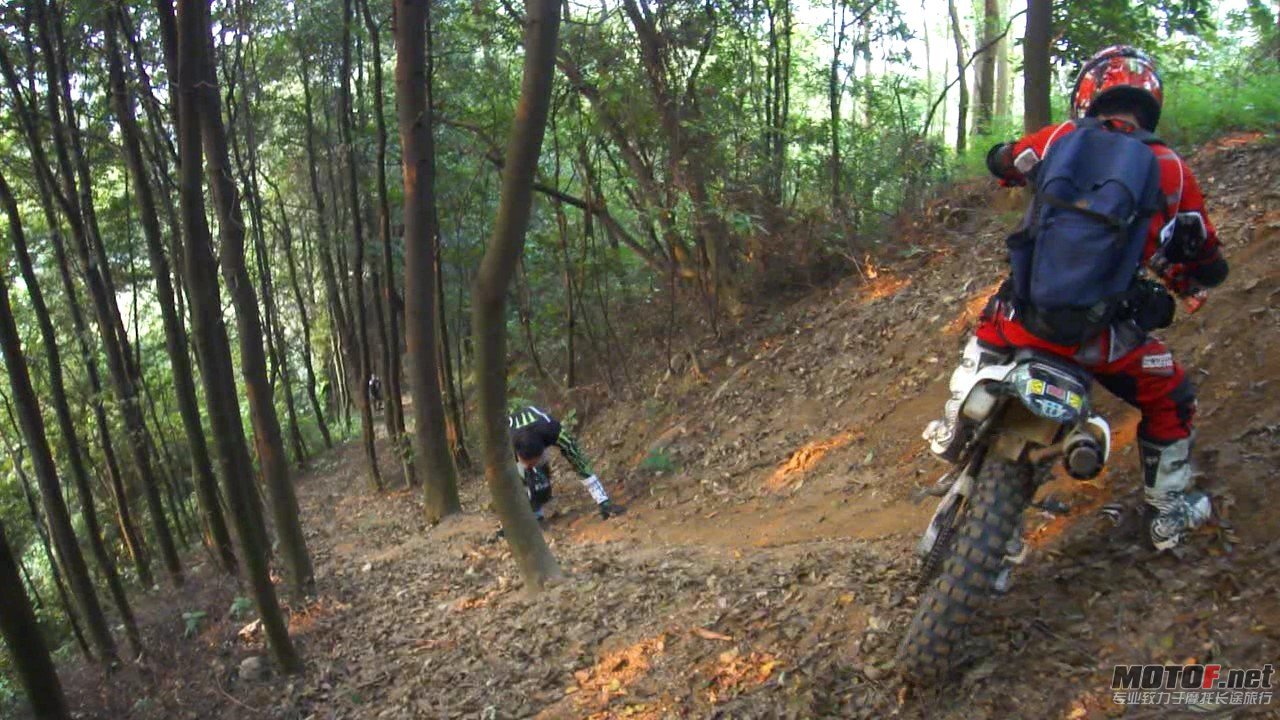 DSC0834870.jpg