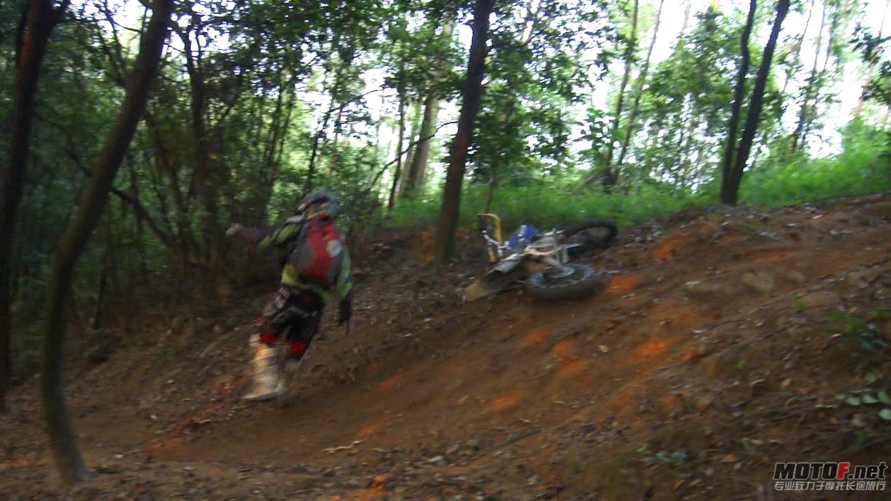 DSC0834892.jpg