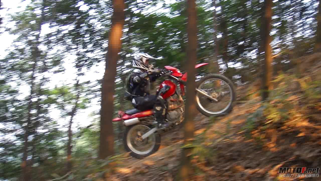 DSC0834850.jpg