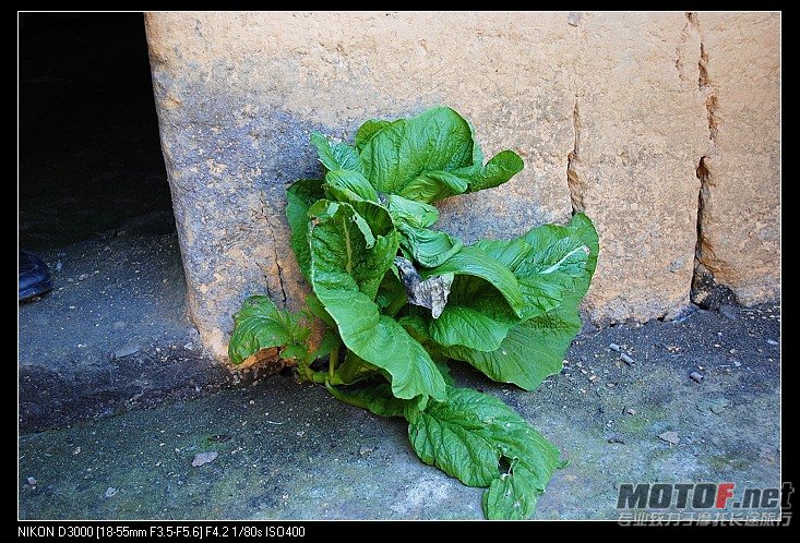 nEO_IMG_DSC_0191.jpg