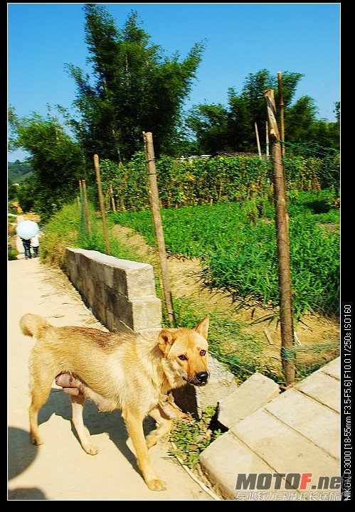 nEO_IMG_DSC_0242.jpg