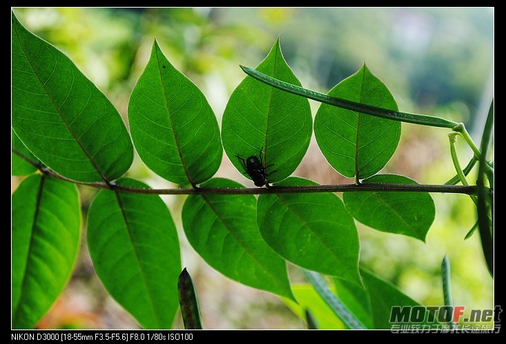 nEO_IMG_DSC_0329.jpg