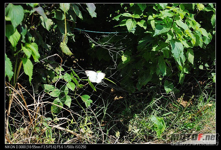 nEO_IMG_DSC_0359.jpg