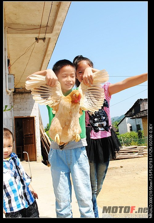 nEO_IMG_DSC_0381.jpg