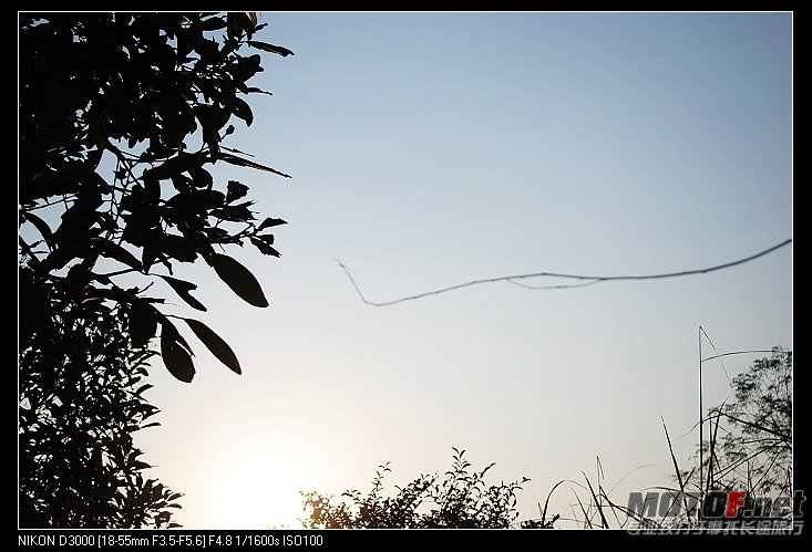 nEO_IMG_DSC_0408.jpg
