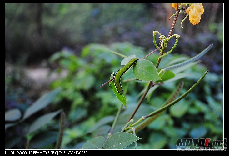 nEO_IMG_DSC_0424.jpg