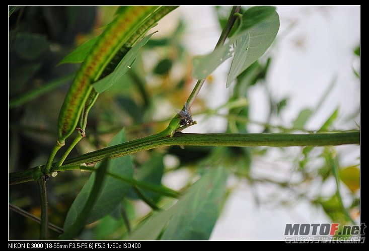 nEO_IMG_DSC_0431.jpg