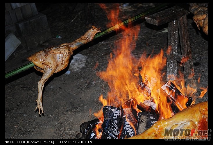 nEO_IMG_DSC_0463.jpg