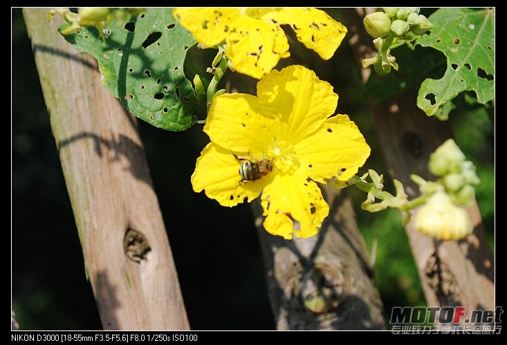 nEO_IMG_DSC_0474.jpg