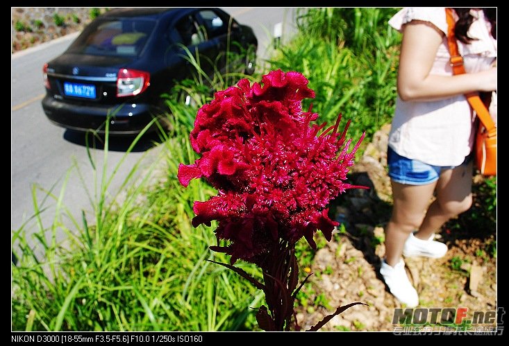 nEO_IMG_DSC_0480.jpg