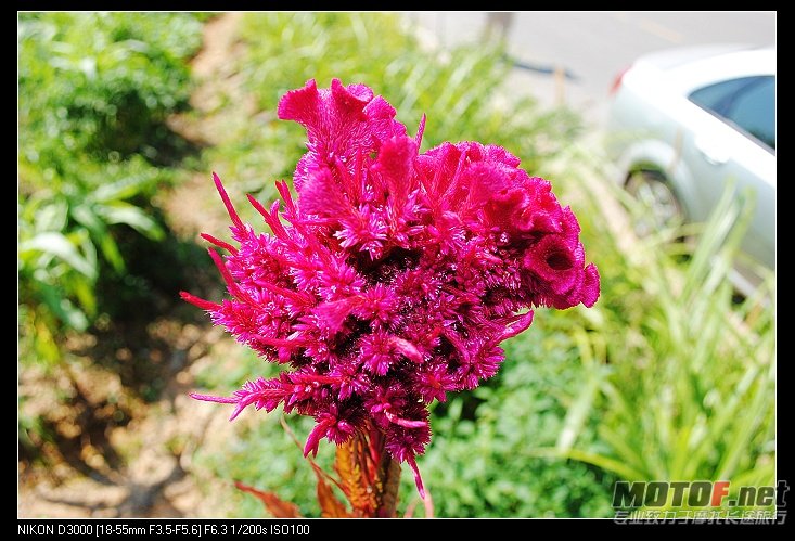 nEO_IMG_DSC_0483.jpg