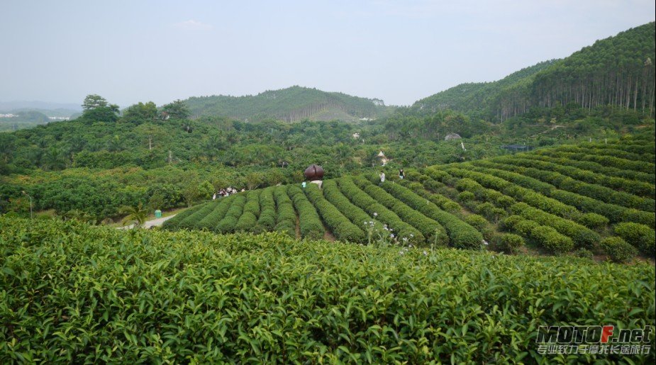 未命名28.jpg