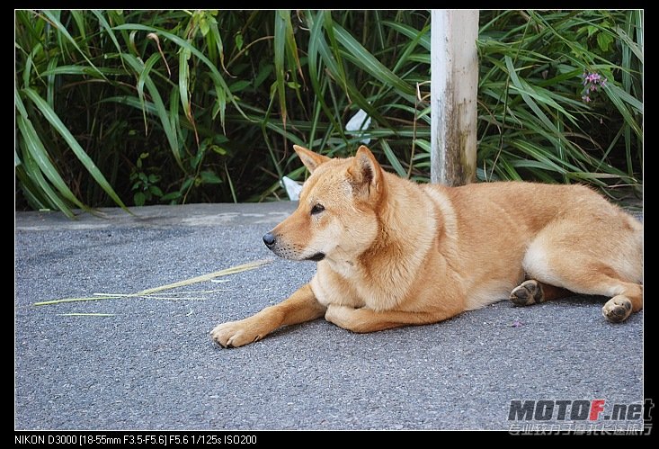 nEO_IMG_DSC_0500.jpg