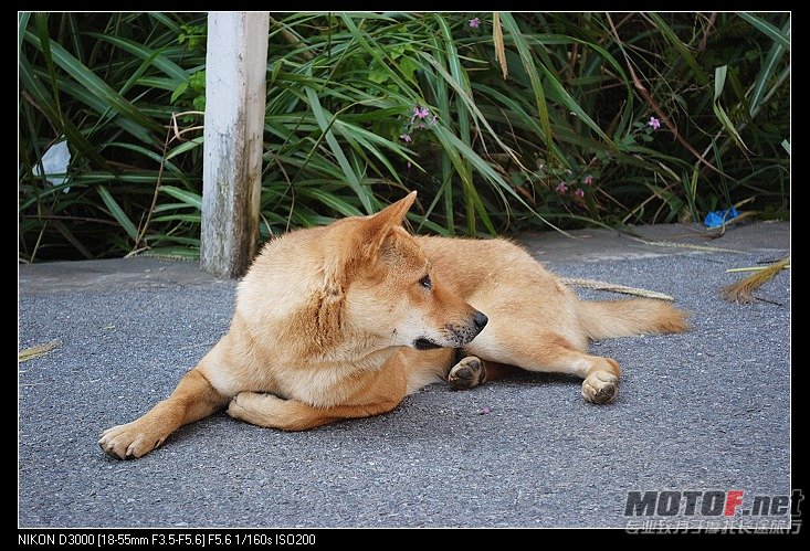 nEO_IMG_DSC_0502.jpg