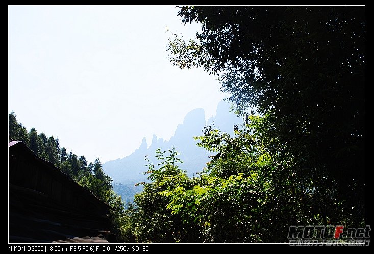 nEO_IMG_DSC_0596.jpg