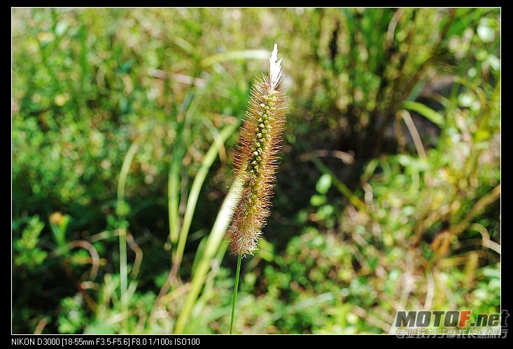 nEO_IMG_DSC_0597.jpg