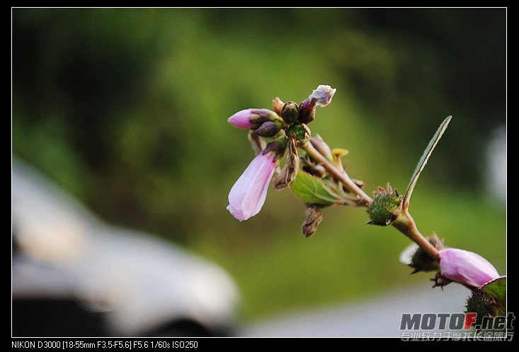 nEO_IMG_DSC_0671.jpg