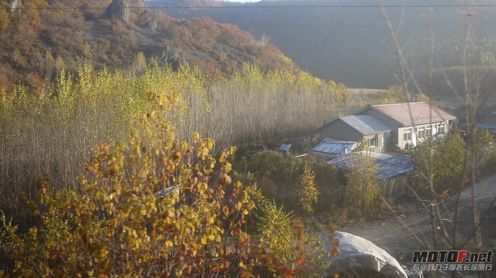 P1020195.jpg
