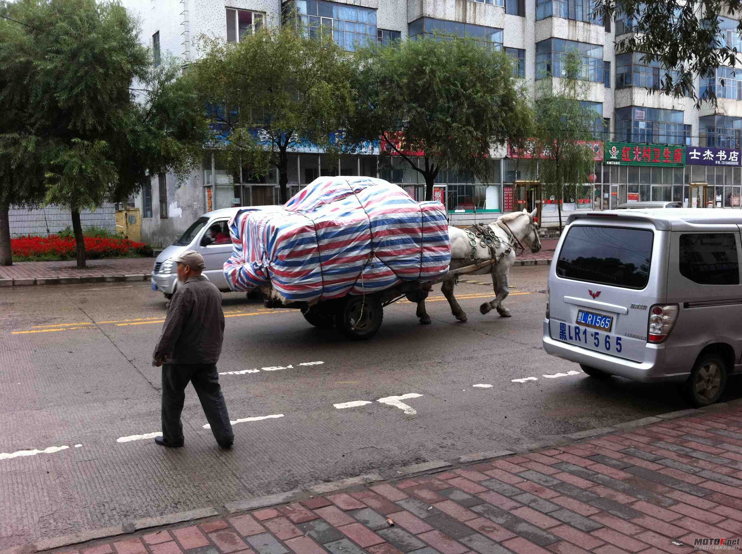 马儿马儿，你快快跑