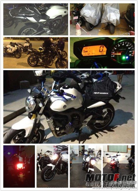 FZ6N.jpg