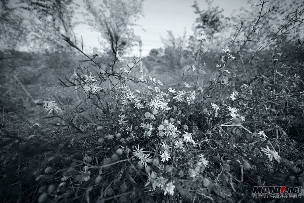 IMG_3041.JPG