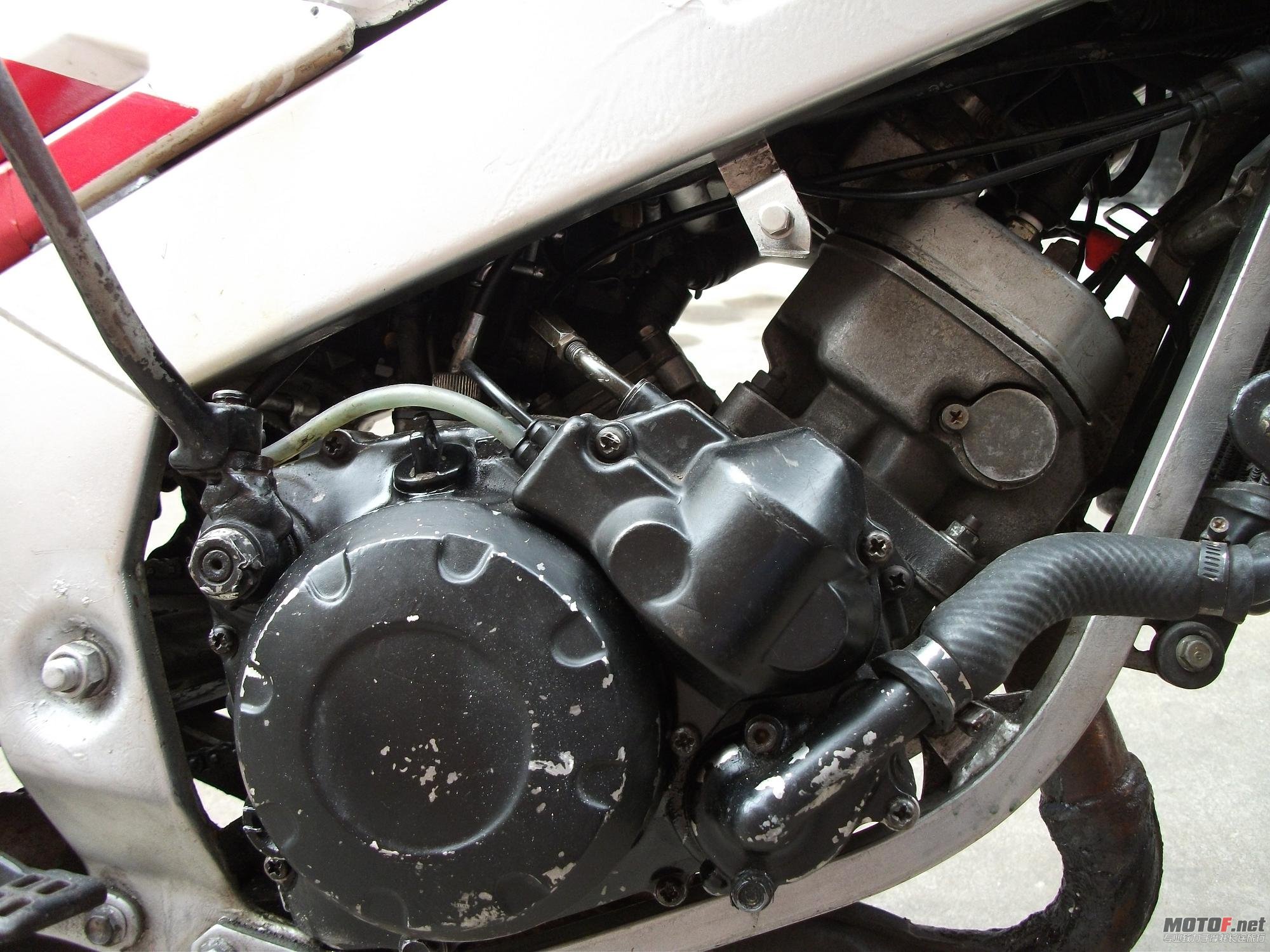 DSCF0945.JPG