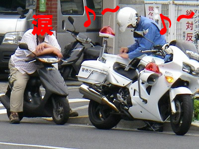 imgp1237.jpg