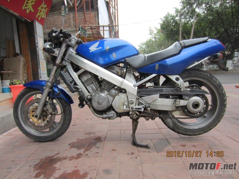 conew_img_2249.jpg