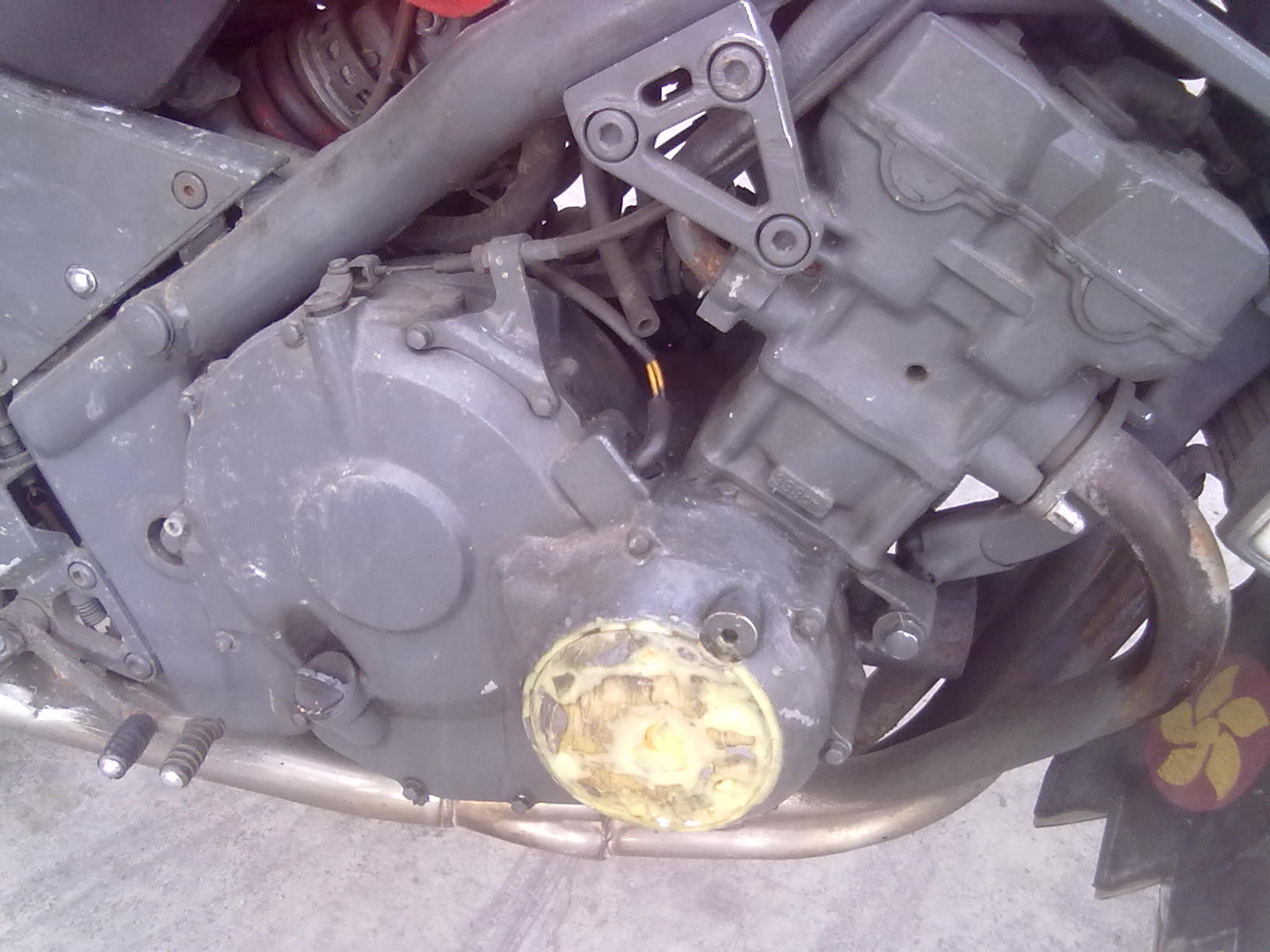 20121017051.jpg