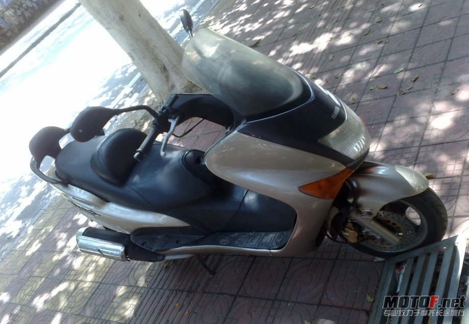 555.jpg
