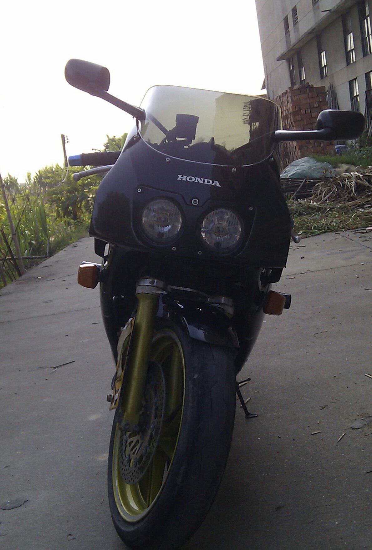 IMAG0258-1.jpg