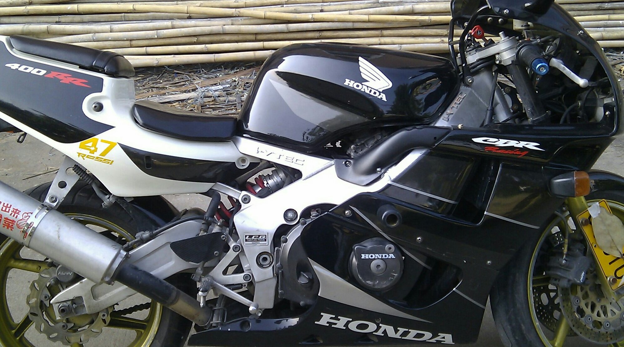IMAG0259-1-1.jpg