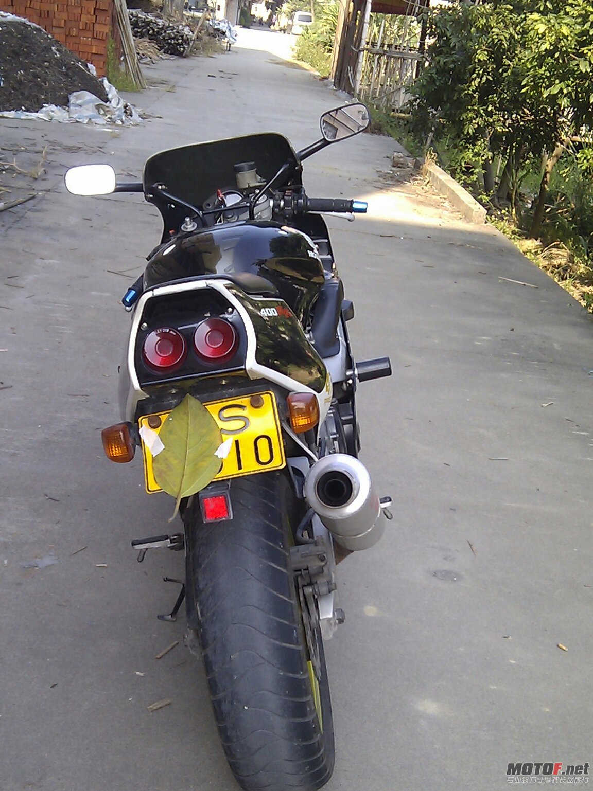 IMAG0260-1.jpg