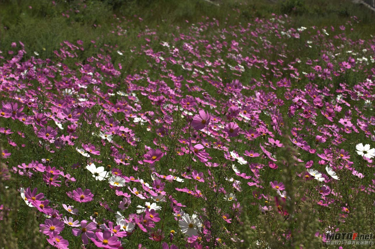DSC_1543.jpg