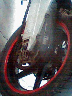 photo04171939.jpg