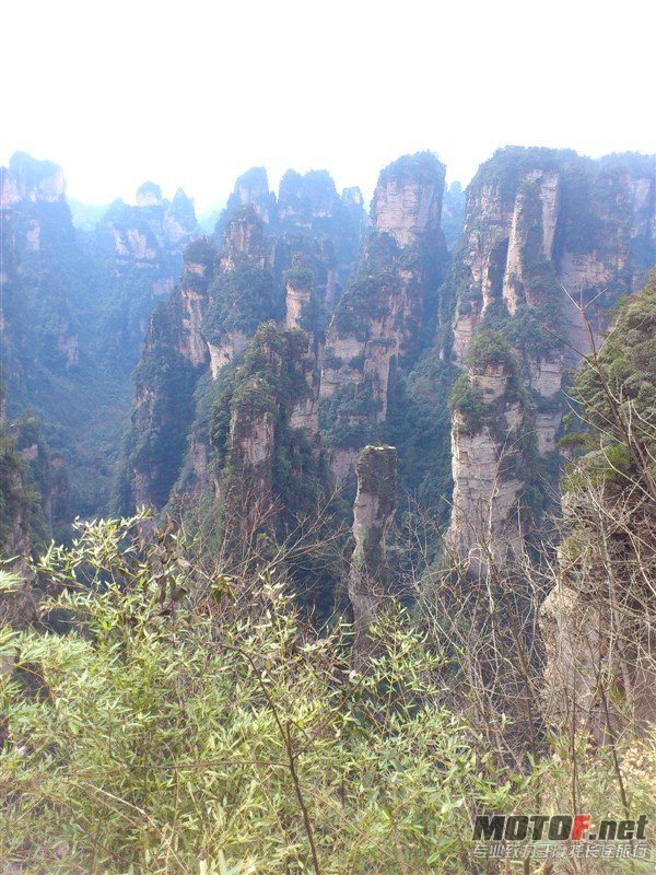 nukik.jpg
