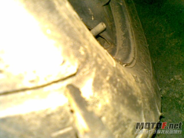 20121117_007.jpg