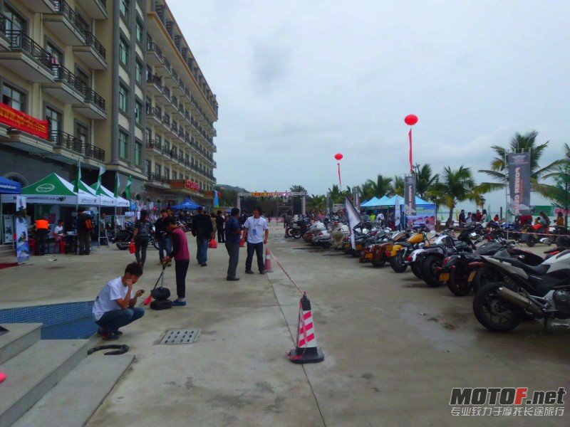 IMG_2398.jpg