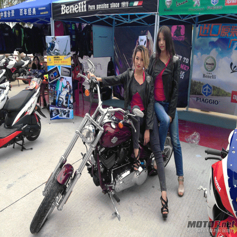 IMG_2283.gif