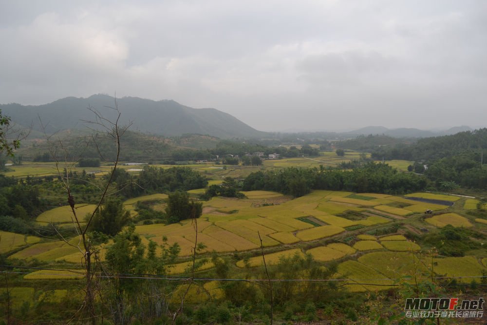 深井的田