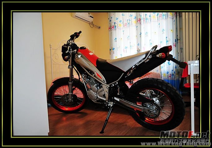 nEO_IMG_DSC_8277[1].jpg