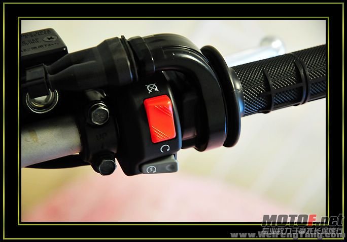 nEO_IMG_DSC_8286[1].jpg