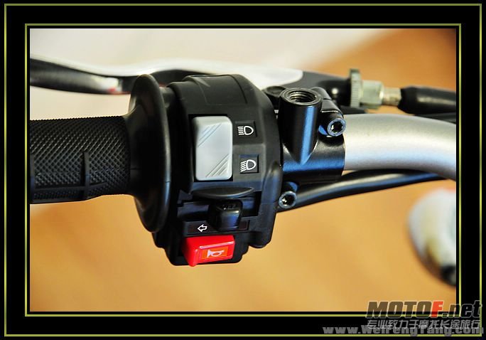 nEO_IMG_DSC_8287[1].jpg