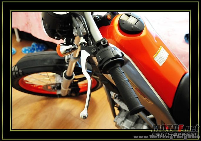 nEO_IMG_DSC_8288[1].jpg
