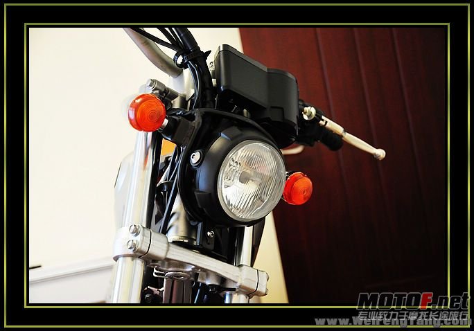 nEO_IMG_DSC_8291[1].jpg