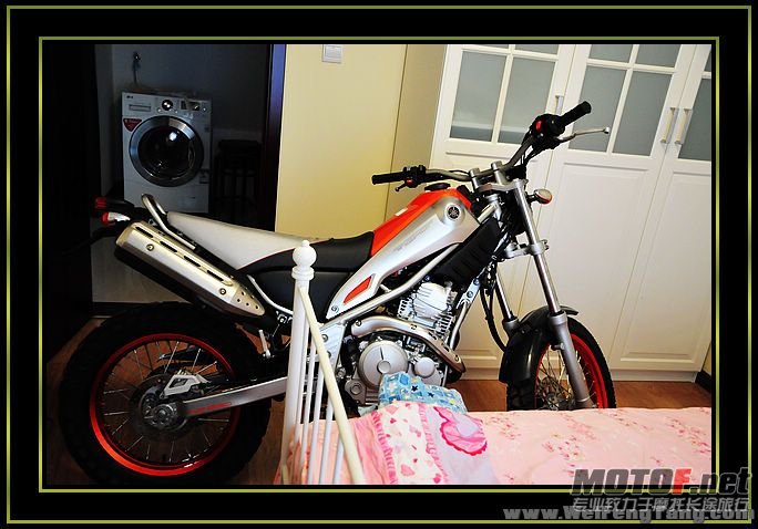 nEO_IMG_DSC_8293[1].jpg